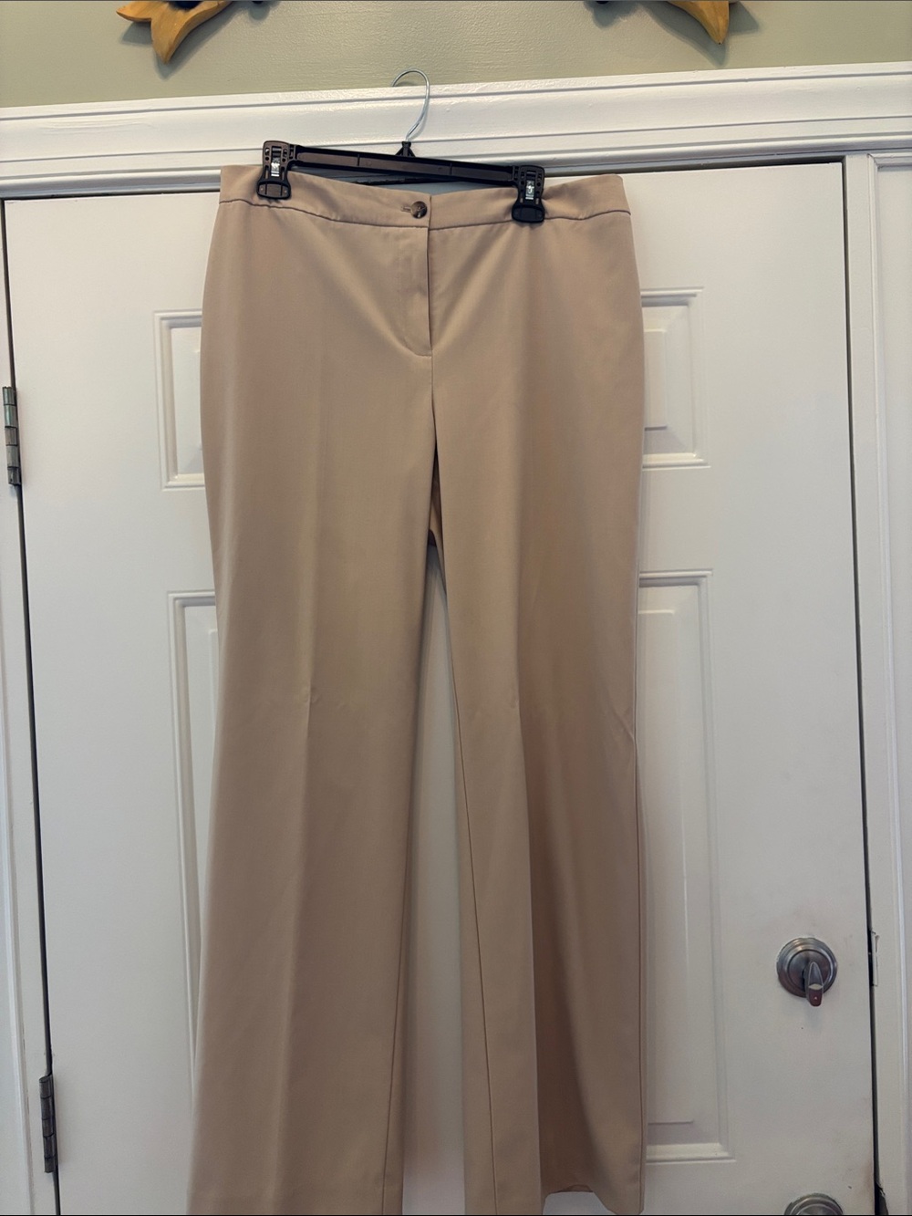 Jones Wear Wide-Leg Dress Pants in Beige